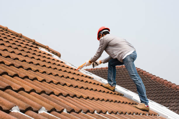 Best Solar Panel Roofing Installation  in Bedford, IA