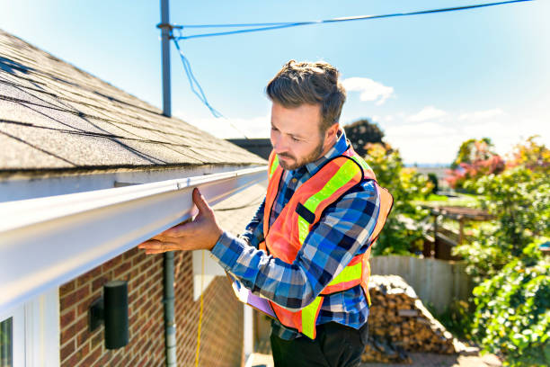 Best Roof Moss and Algae Removal  in Bedford, IA